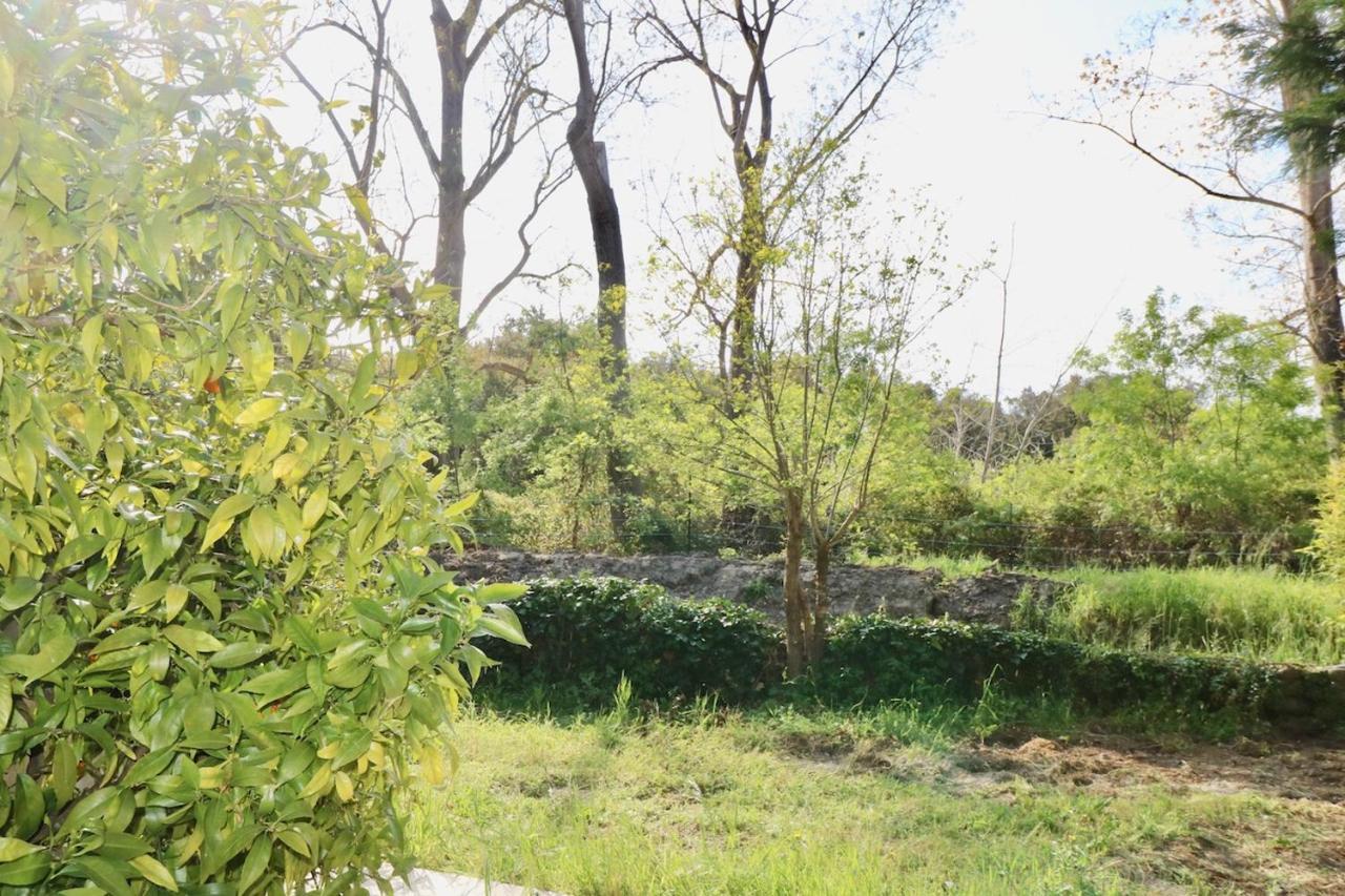 Gites Terra Di A Bravona Linguizzetta Exterior foto