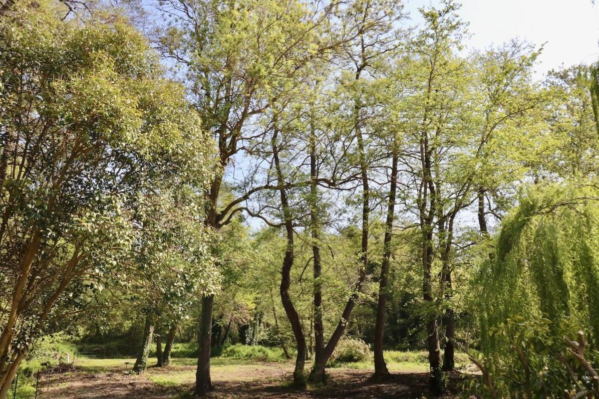 Gites Terra Di A Bravona Linguizzetta Exterior foto